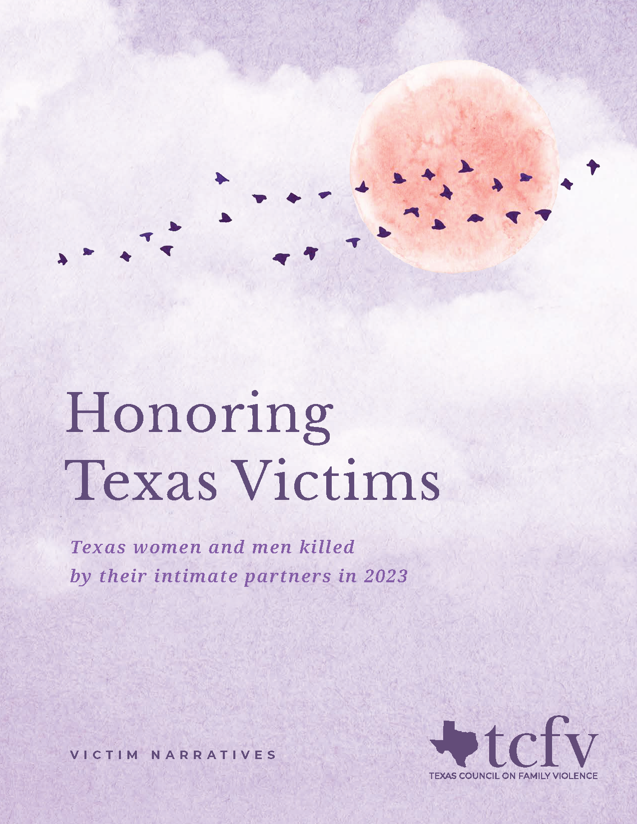 Texas Intimate Partner Fatality Report