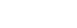 Texas Council on Family Violence logo